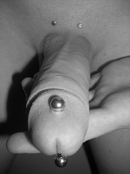 Apadravya piercing